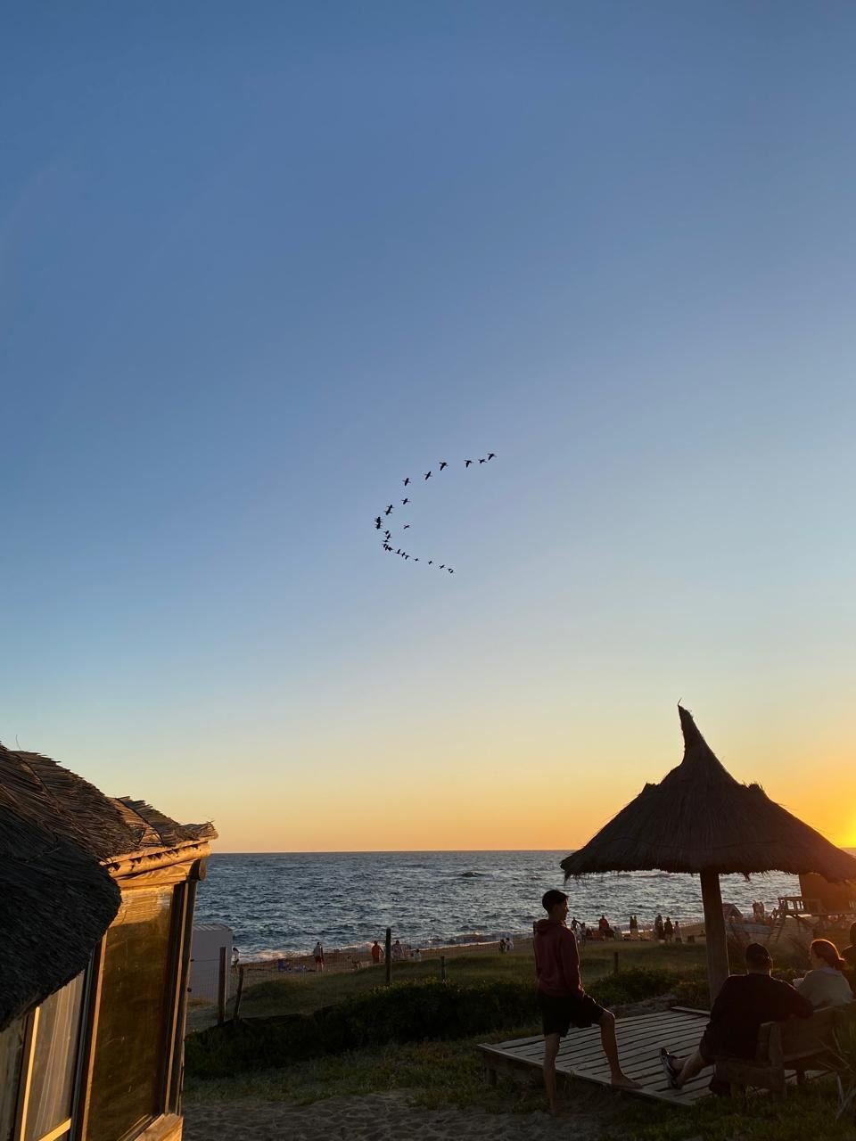 Bandada de aves cruzando el cielo al atardecer sobre el mar, junto a una sombrilla de paja