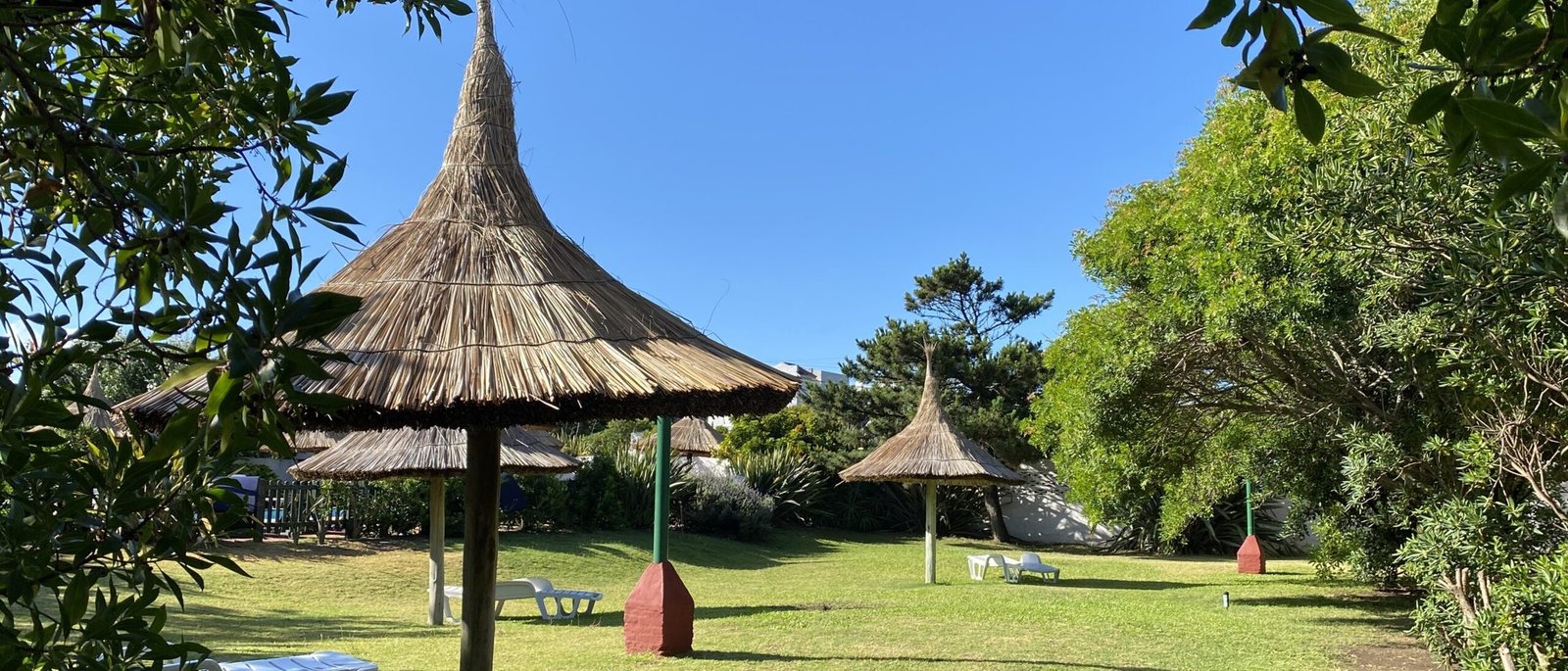 Parque del complejo con sombrillas de paja, pinos y césped bajo el cielo azul